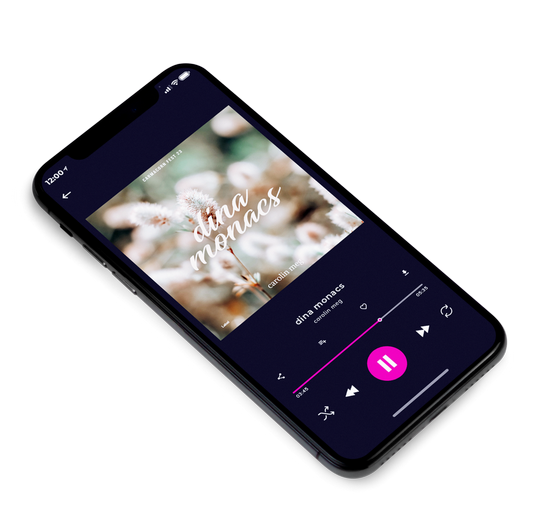 3D view of Premade Podcast Album Cover - Zorba #7703 | AlbumArtZone*