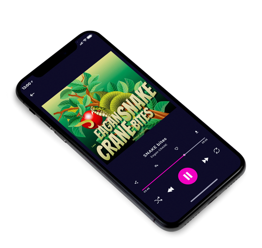 3D view of Premade Podcast Album Cover - Fern Green #7850 | AlbumArtZone*