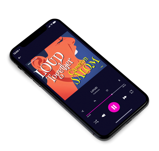 3D view of Premade Pop Album Cover - Pickled Bluewood #7861 | AlbumArtZone*