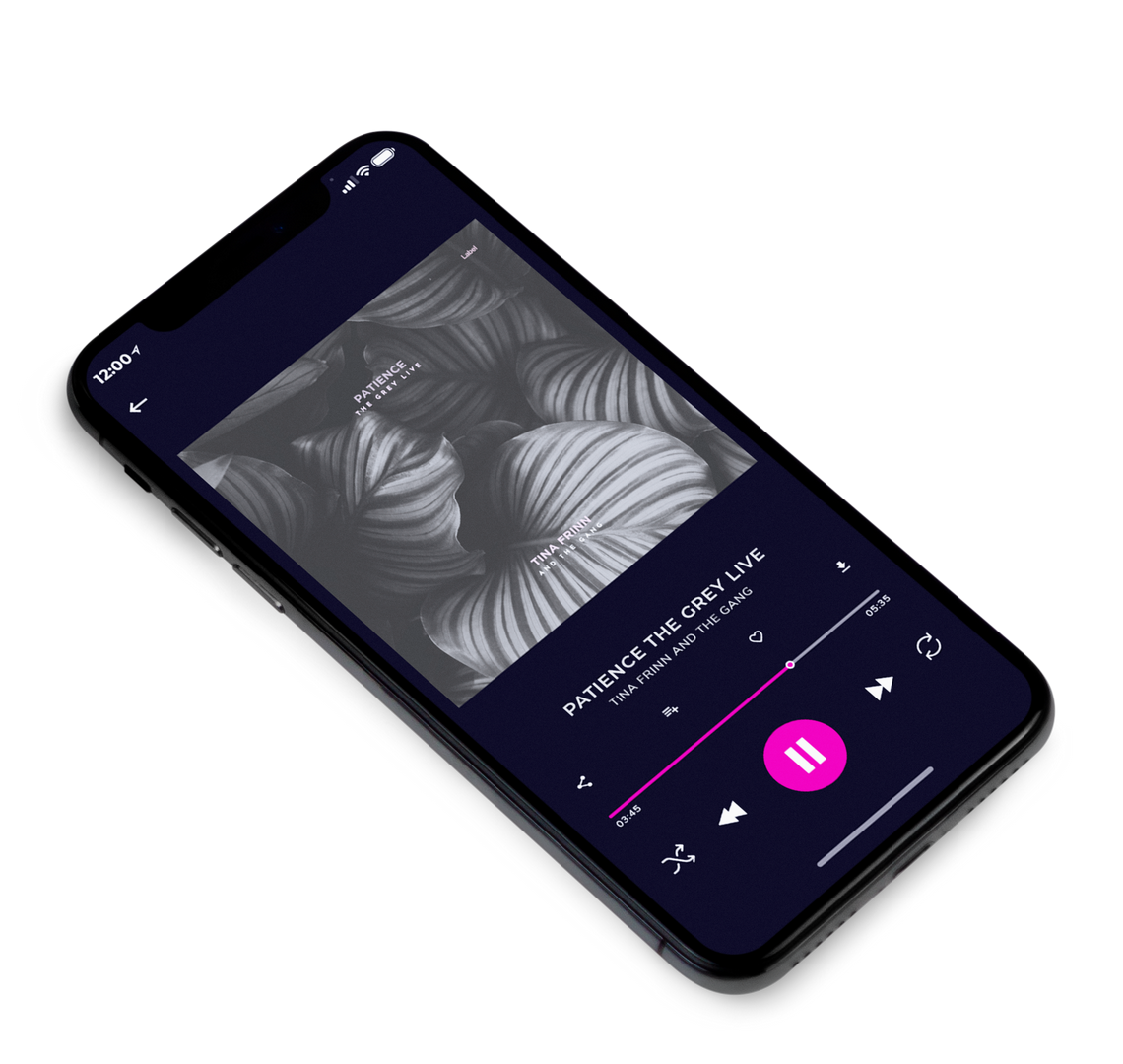 3D view of Premade Pop Album Cover - Tundora #8669 | AlbumArtZone*
