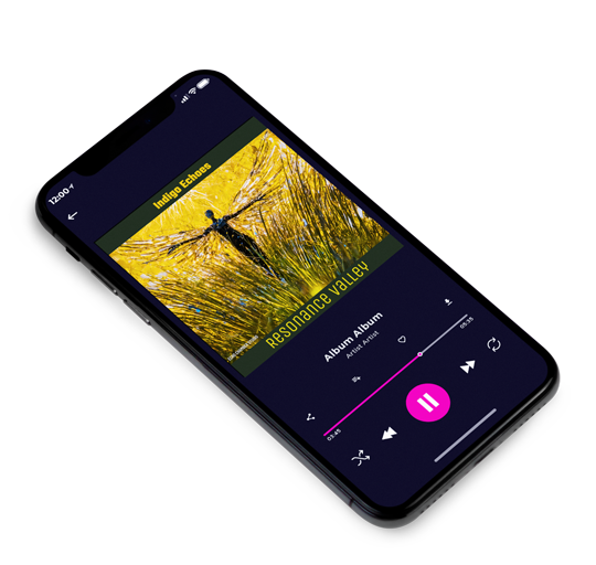 3D view of Premade Contemporary Music Album Cover - Anzac #16432 | AlbumArtZone*