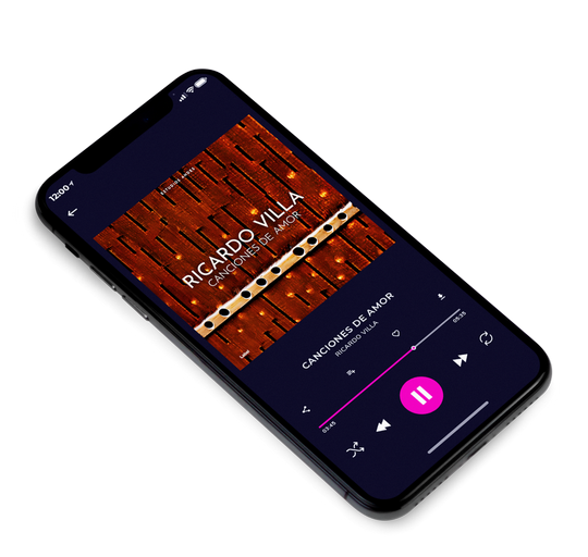 3D view of Premade Indie & Folk Music Album Cover - Rebel #20867 | AlbumArtZone*