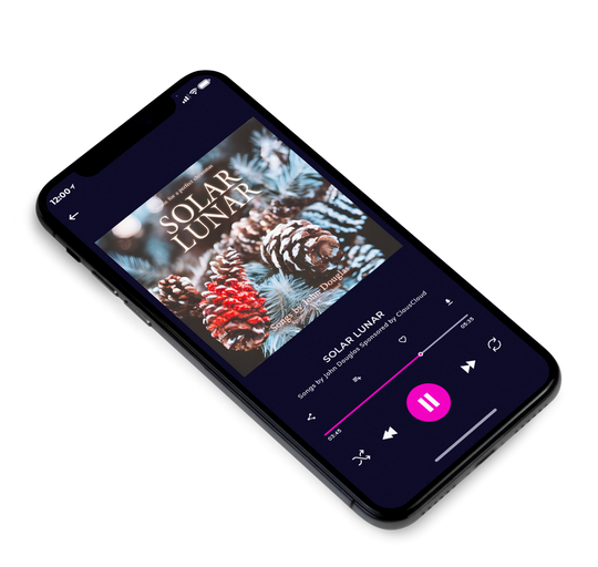 3D view of Premade Christmas Music Book Cover - Armadillo #21472 | AlbumArtZone*
