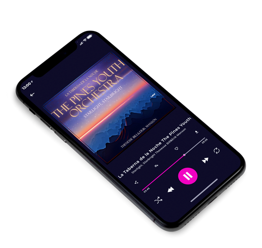 3D view of Premade Classical & Romantic Music Album Cover - Mulled Wine #21559 | AlbumArtZone*