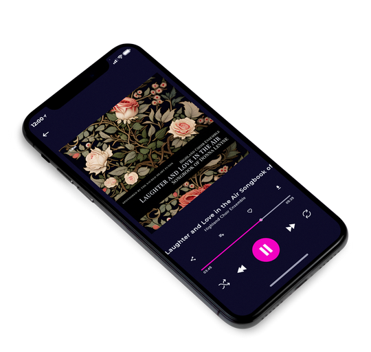 3D view of Premade Indie & Folk Music Album Cover - Brandy Rose #21742 | AlbumArtZone*