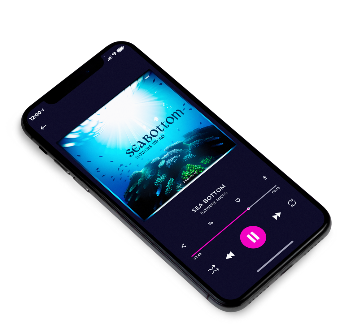 3D view of Premade Pop Album Cover - Humming Bird #22539 | AlbumArtZone*
