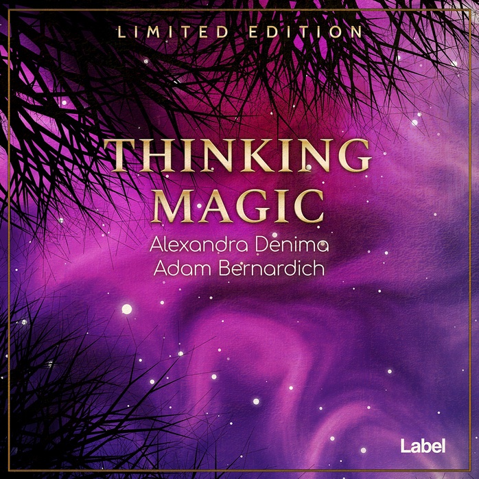 2D view of Premade Podcast Album Cover - Plum #228 | AlbumArtZone*