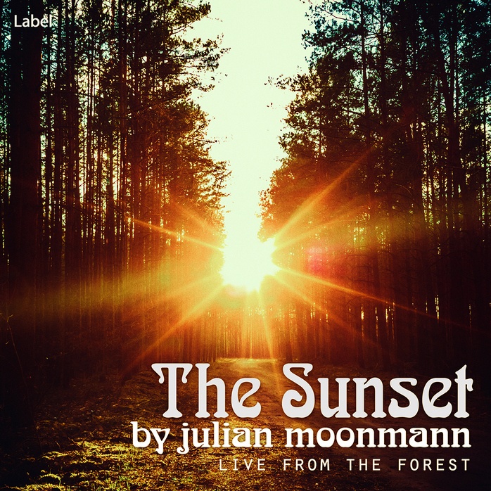 2D view of Premade Pop Album Cover - Calico #324 | AlbumArtZone*