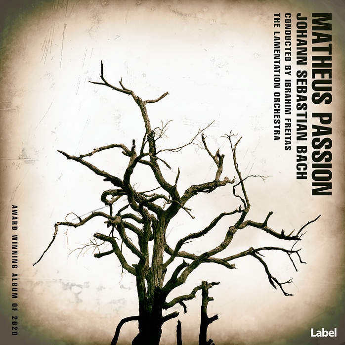 2D view of Premade Contemporary Music Album Cover - Black Olive #352 | AlbumArtZone*
