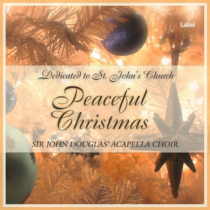 2D view of Premade Christmas Music Album Cover - Tumbleweed #571 | AlbumArtZone*