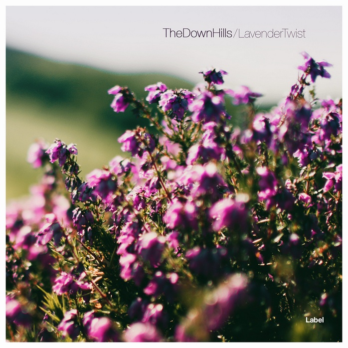 2D view of Premade Pop Album Cover - Rangitoto #680 | AlbumArtZone*