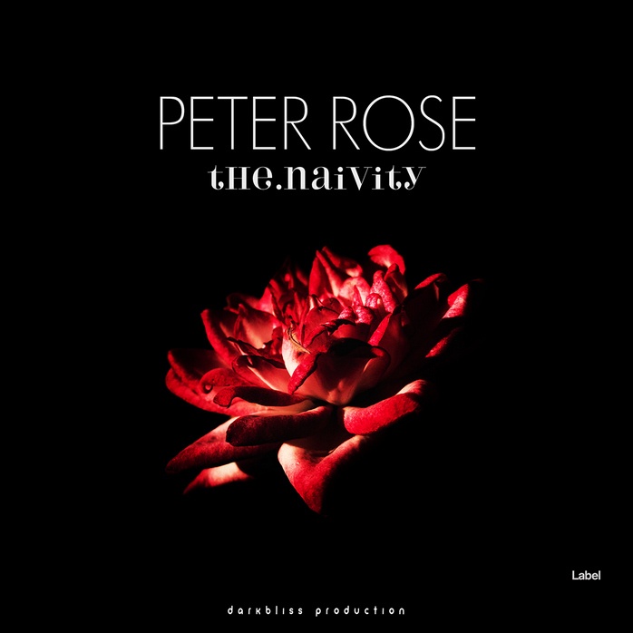 2D view of Premade Pop Album Cover - Black #775 | AlbumArtZone*