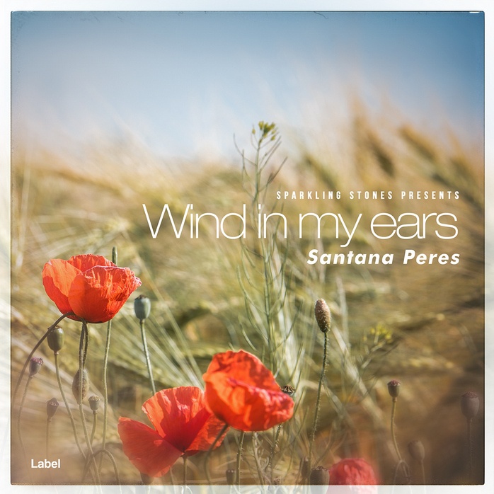 2D view of Premade Indie & Folk Music Album Cover - Sandal #872 | AlbumArtZone*