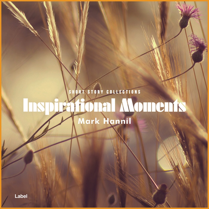 2D view of Premade Electronica & Ambient Album Cover - Leather #875 | AlbumArtZone*