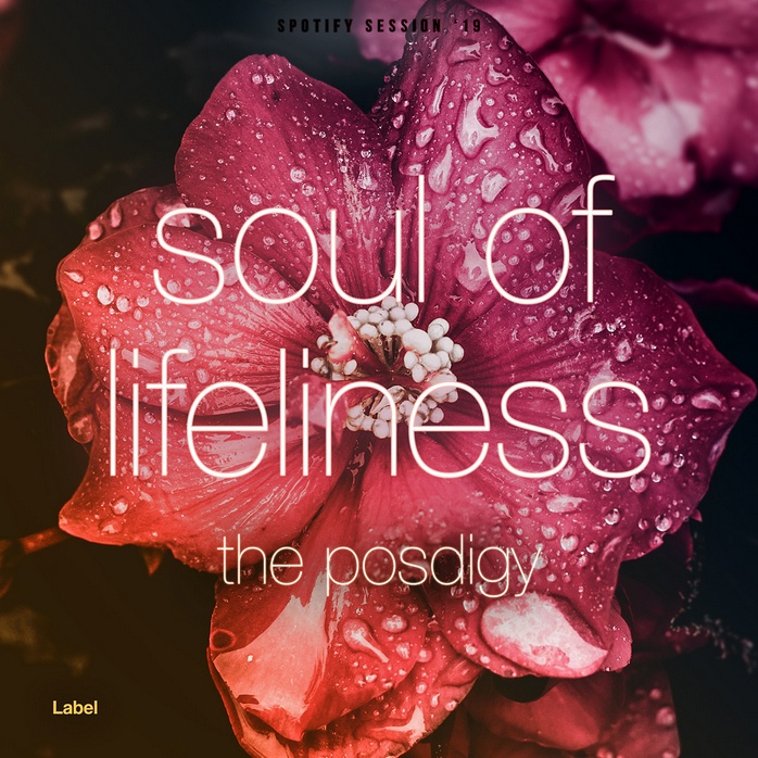 2D view of Premade Pop Album Cover - Hippie Pink #882 | AlbumArtZone*