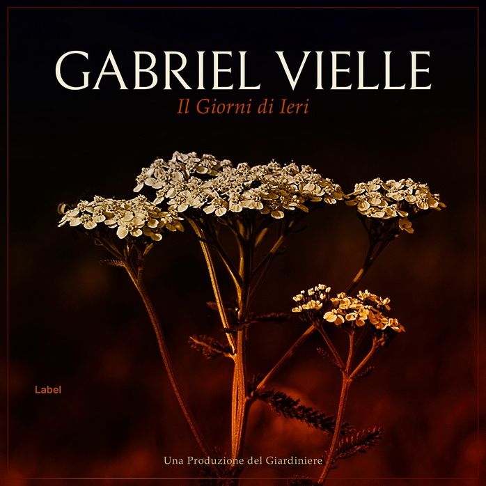 2D view of Premade Pop Album Cover - Creole #905 | AlbumArtZone*