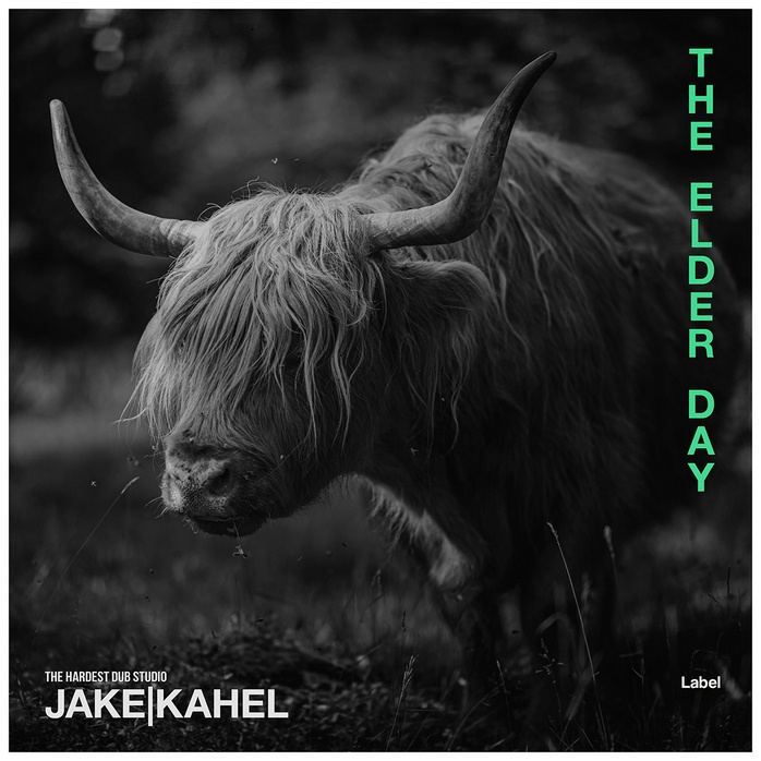 2D view of Premade Pop Album Cover - Cod Gray #922 | AlbumArtZone*