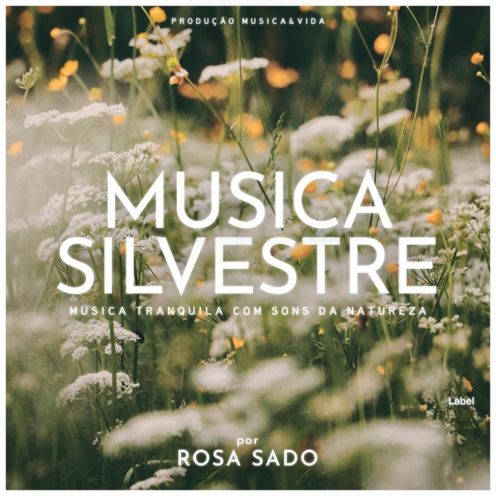 2D view of Premade Indie & Folk Music Album Cover - Clay Creek #1096 | AlbumArtZone*