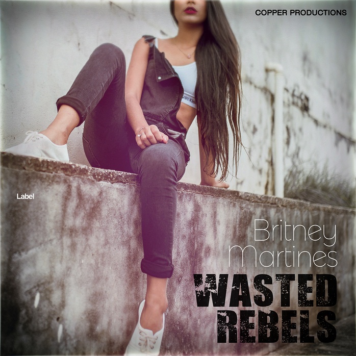 2D view of Premade Pop Album Cover - Dusty Gray #1479 | AlbumArtZone*