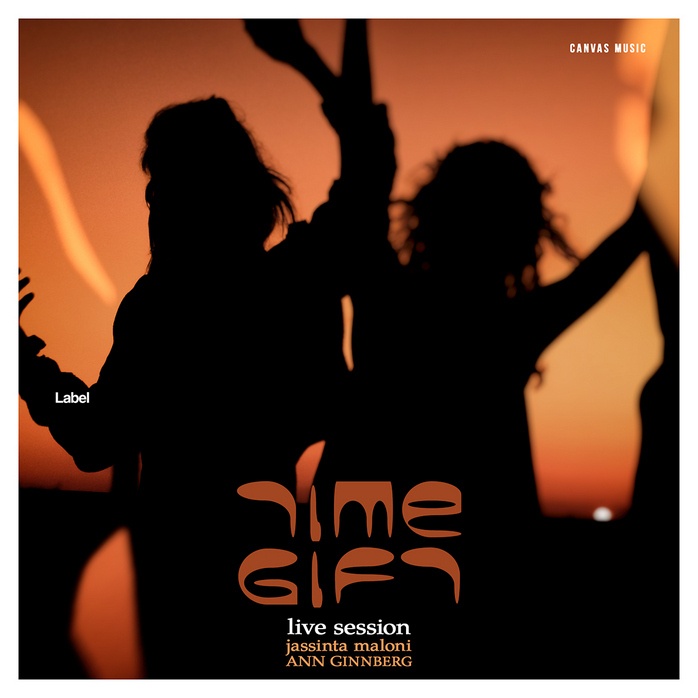 2D view of Premade Electronica & Ambient Album Cover - Copper #1556 | AlbumArtZone*
