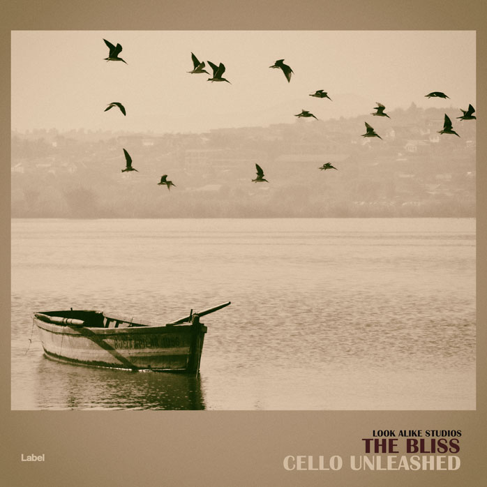 2D view of Premade Pop Album Cover - Indian Khaki #1831 | AlbumArtZone*