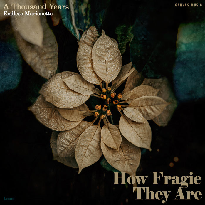 2D view of Premade Early Music Album Cover - Sandal #1891 | AlbumArtZone*