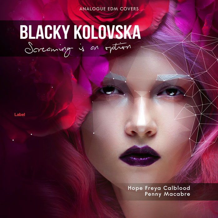 2D view of Premade Pop Album Cover - Heath #2242 | AlbumArtZone*