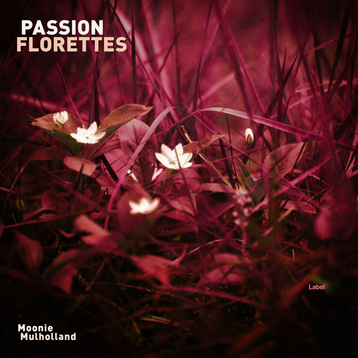 2D view of Premade Rock,Punk & Alternative Album Cover - Coffee Bean #2346 | AlbumArtZone*