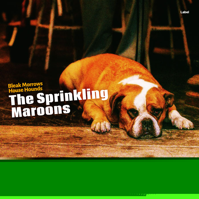 2D view of Premade Rock,Punk & Alternative Album Cover - Karaka #2722 | AlbumArtZone*