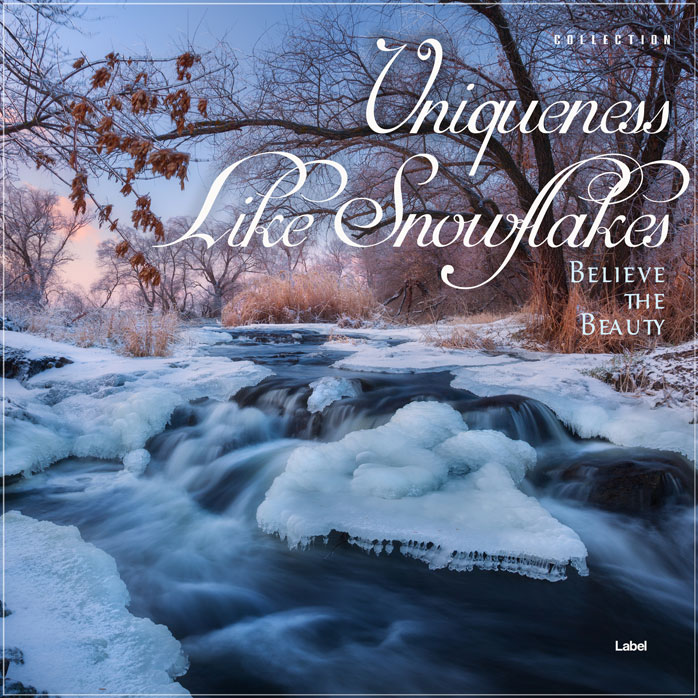2D view of Premade Christmas Music Book Cover - Lynch #2981 | AlbumArtZone*