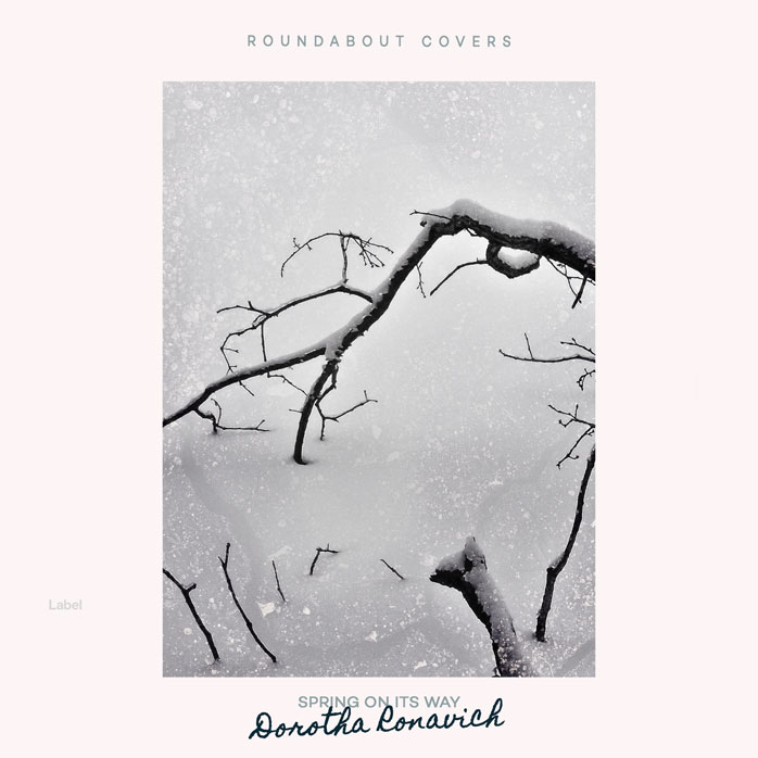 2D view of Premade Country & Acoustic Album Cover - Ebb #3092 | AlbumArtZone*
