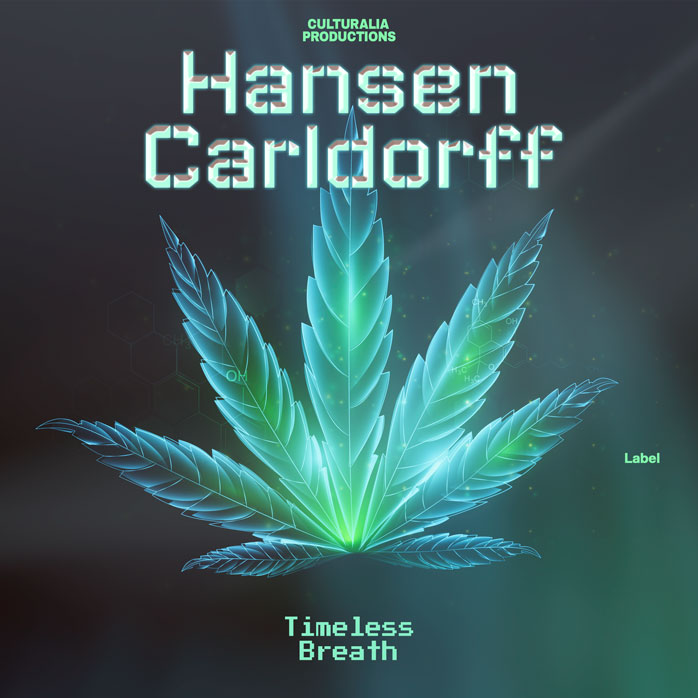 2D view of Premade Electronica & Ambient Book Cover - Limed Spruce #3187 | AlbumArtZone*