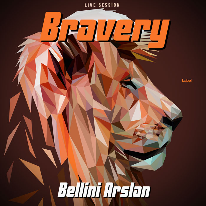 2D view of Premade Pop Album Cover - Cocoa Bean #3381 | AlbumArtZone*