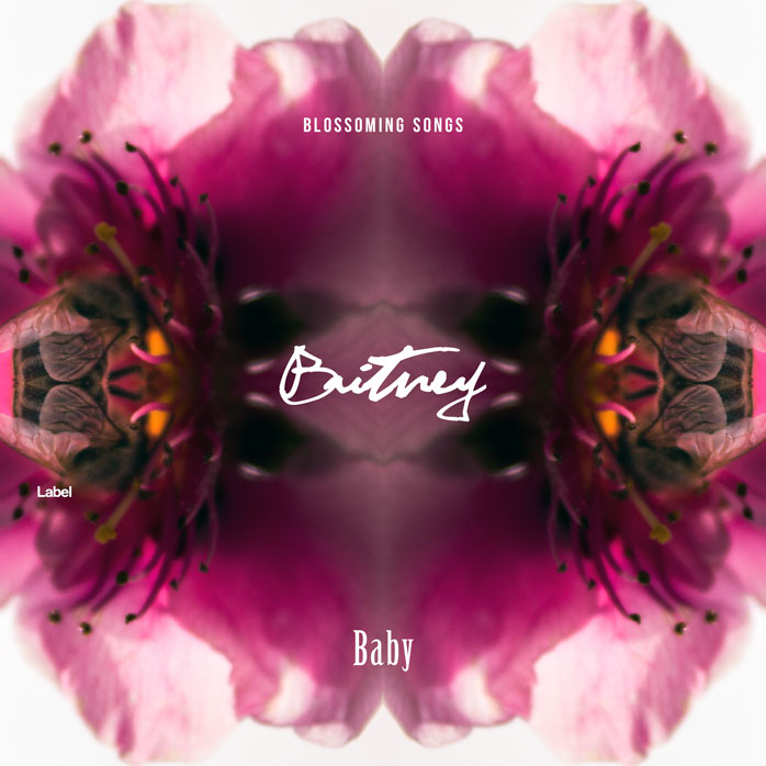 2D view of Premade Pop Album Cover - Tawny Port #3440 | AlbumArtZone*