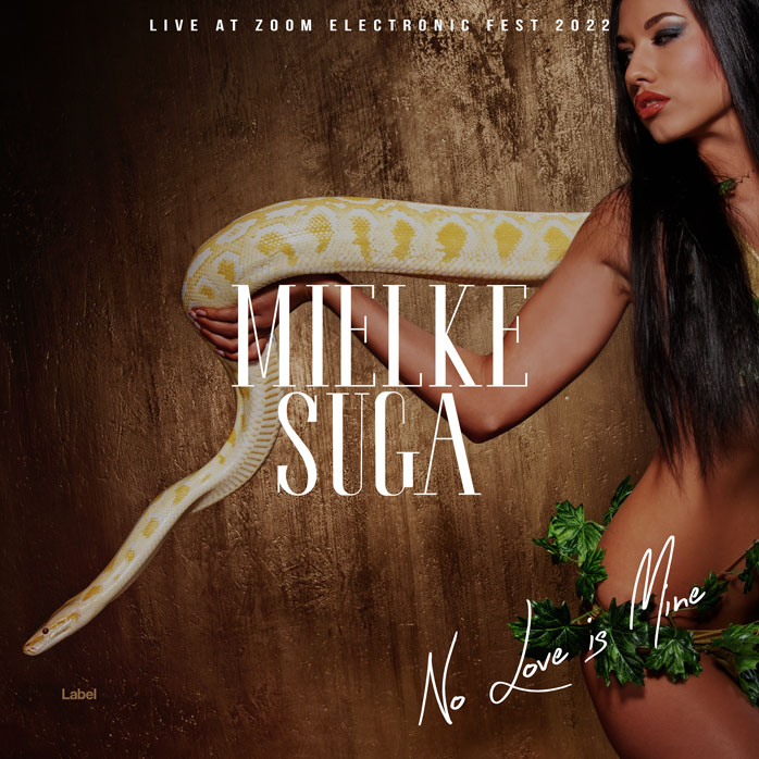 2D view of Premade Pop Album Cover - Cedar #3709 | AlbumArtZone*