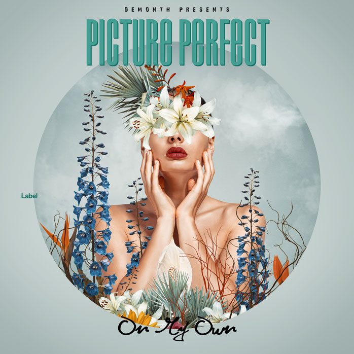 2D view of Premade Pop Album Cover - Pumice #3990 | AlbumArtZone*