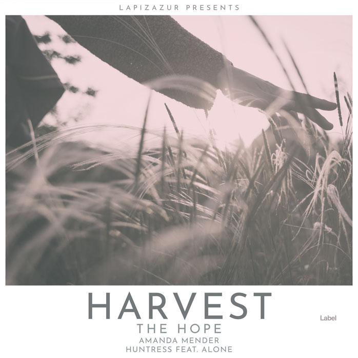 2D view of Premade Pop Book Cover - Tapa #4211 | AlbumArtZone*