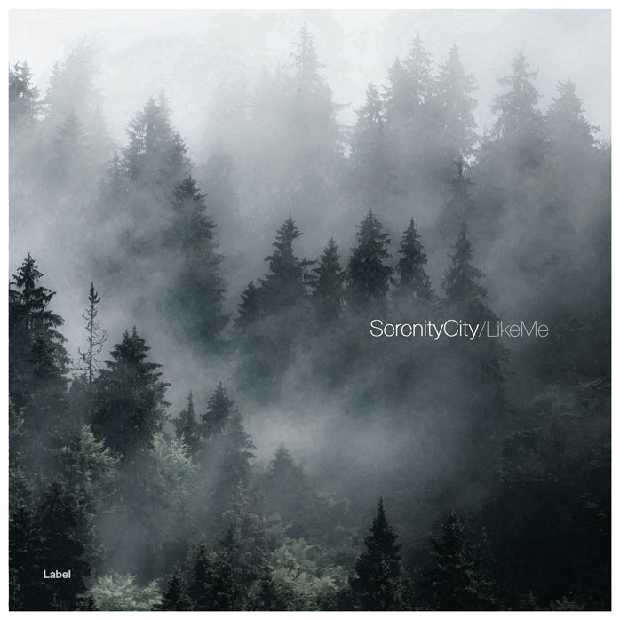 2D view of Premade Pop Album Cover - Cape Cod #4342 | AlbumArtZone*