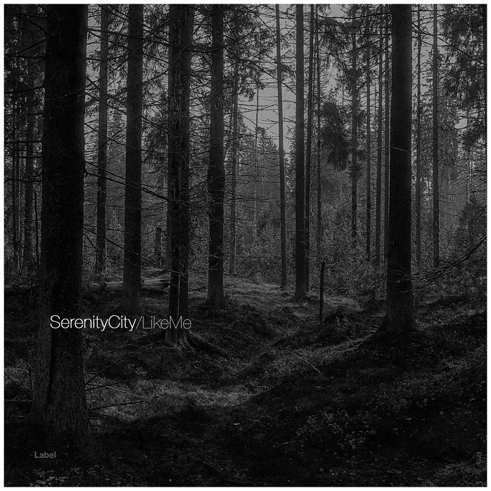 2D view of Premade Pop Album Cover - Cod Gray #4343 | AlbumArtZone*