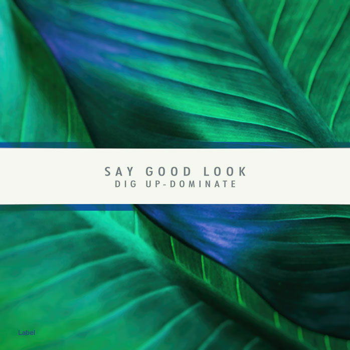2D view of Premade Contemporary Music Album Cover - Deep Sea Green #4441 | AlbumArtZone*