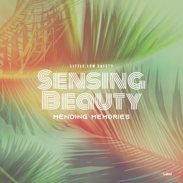 2D view of Premade EDM, House & Dub Album Cover - Donkey Brown #4647 | AlbumArtZone*
