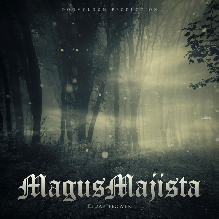 2D view of Premade Heavy Metal & Gothic Metal Book Cover - Outer Space #4693 | AlbumArtZone*