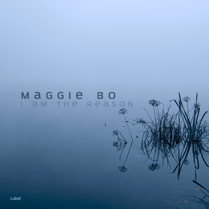2D view of Premade Pop Album Cover - Polo Blue #4781 | AlbumArtZone*