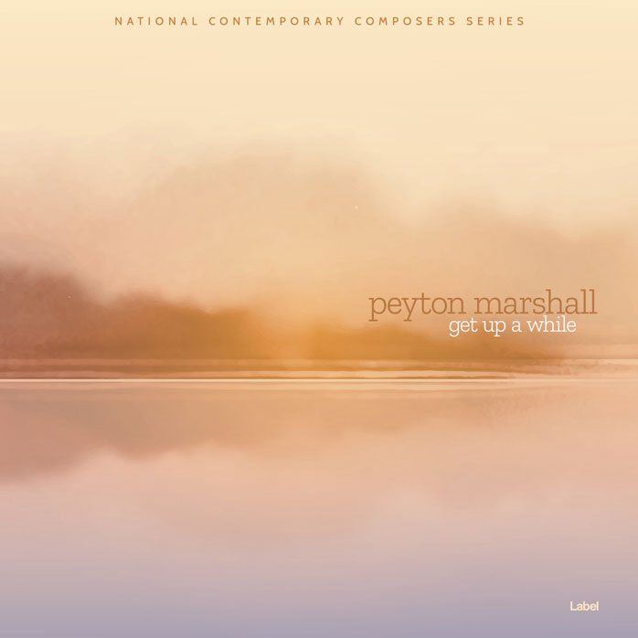 2D view of Premade Pop Album Cover - Cameo #4805 | AlbumArtZone*
