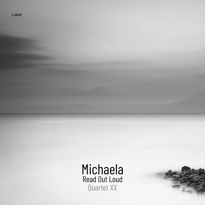 2D view of Premade Pop Album Cover - Silver #4870 | AlbumArtZone*
