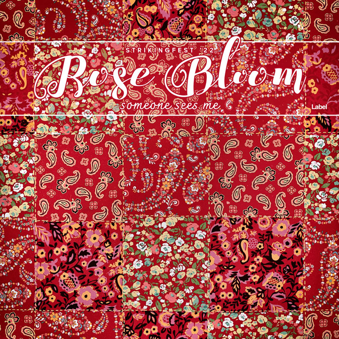 2D view of Premade Country & Acoustic Album Cover - Tall Poppy #4922 | AlbumArtZone*