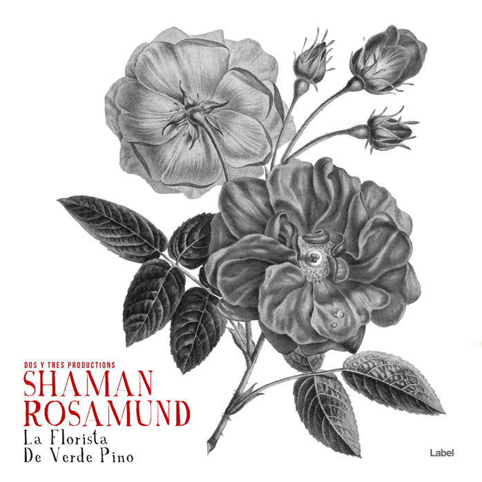2D view of Premade Indie & Folk Music Album Cover - Gray #5044 | AlbumArtZone*
