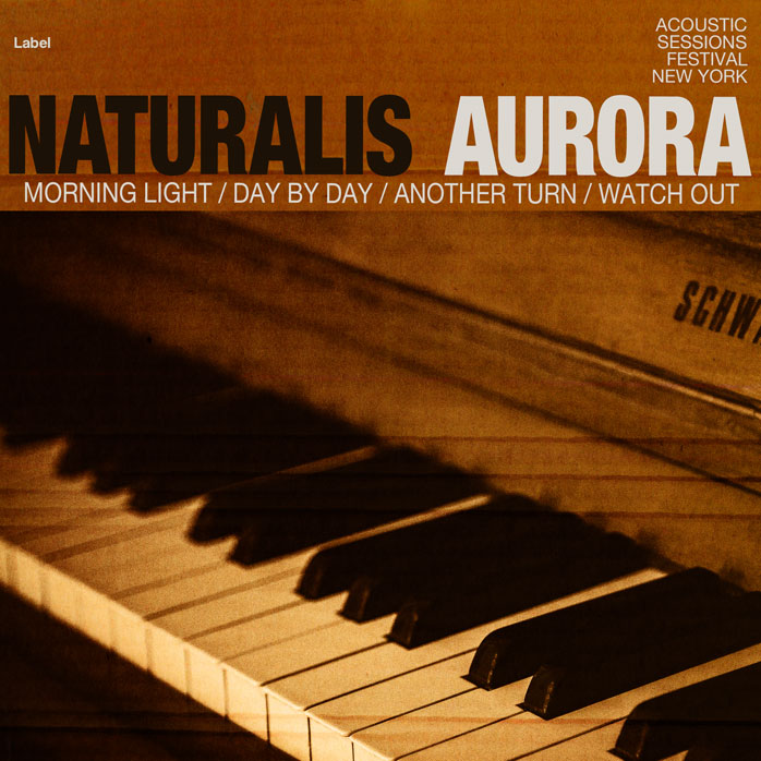 2D view of Premade Traditional Jazz & Blues Album Cover - Dark Ebony #5053 | AlbumArtZone*