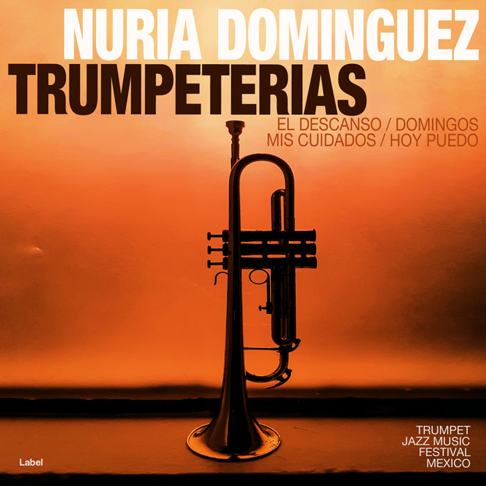 2D view of Premade Traditional Jazz & Blues Book Cover - Wood Bark #5059 | AlbumArtZone*