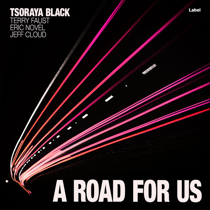 2D view of Premade Traditional Jazz & Blues Album Cover - Carissma #5073 | AlbumArtZone*